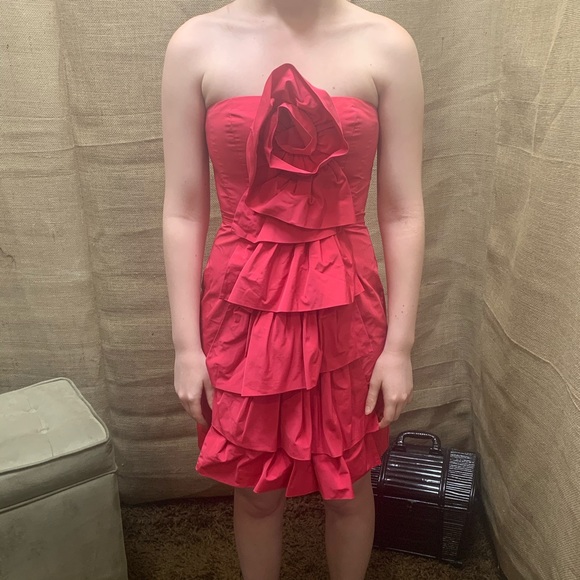 ⚡️BCBG Maxazria Tube Ruffle Dress⚡️ - Picture 4 of 8